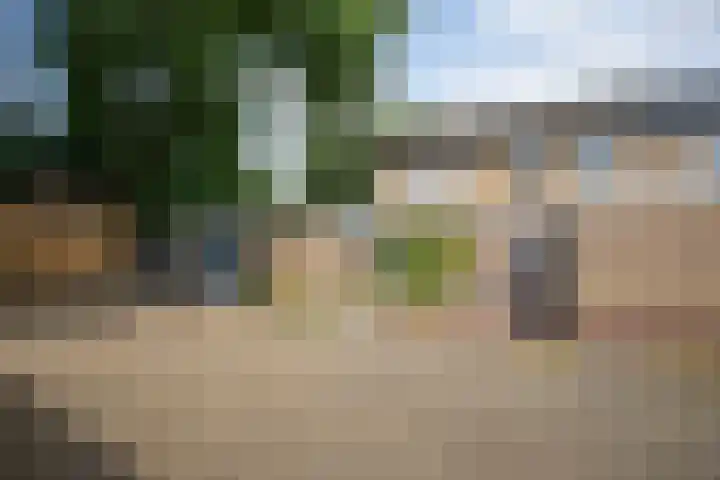 Korianderhof 283 Wierden thumbnail 5