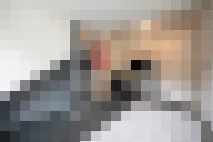 Korianderhof 283 Wierden thumbnail 51
