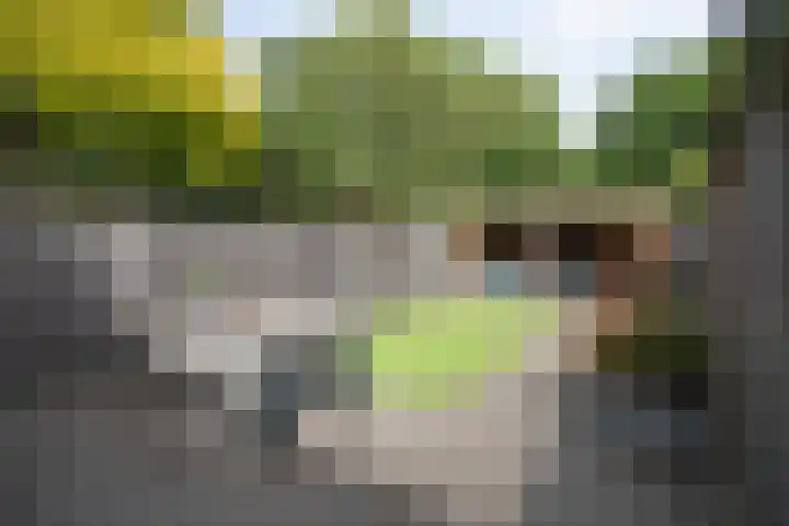 Korianderhof 283 Wierden thumbnail 52
