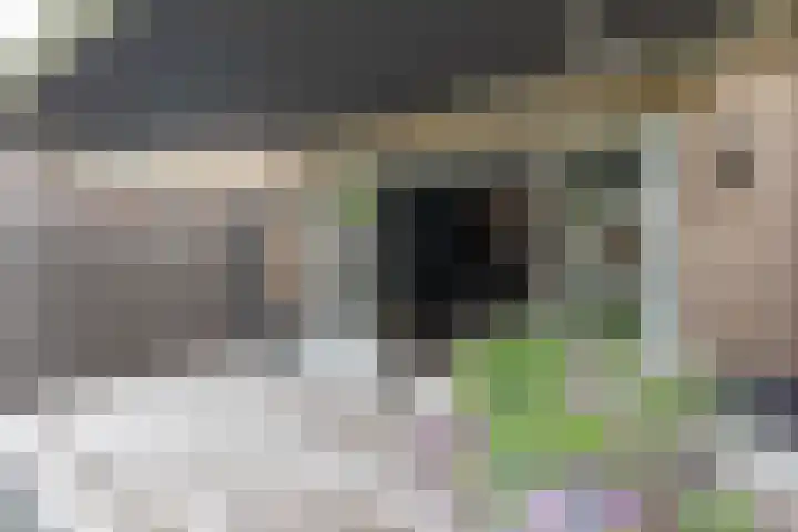 Korianderhof 283 Wierden thumbnail 54