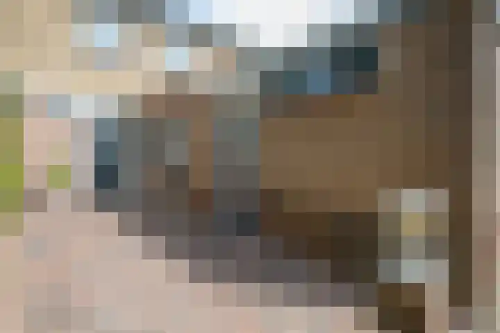 Korianderhof 283 Wierden thumbnail 6
