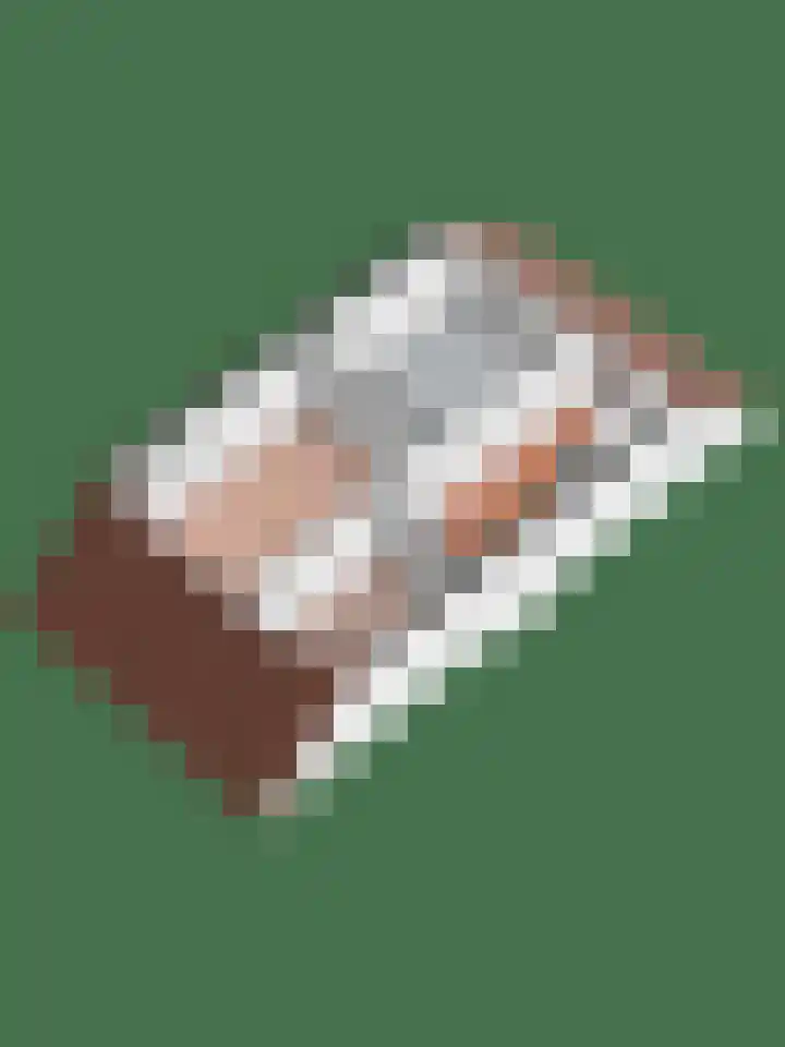 Korianderhof 283 Wierden thumbnail 69