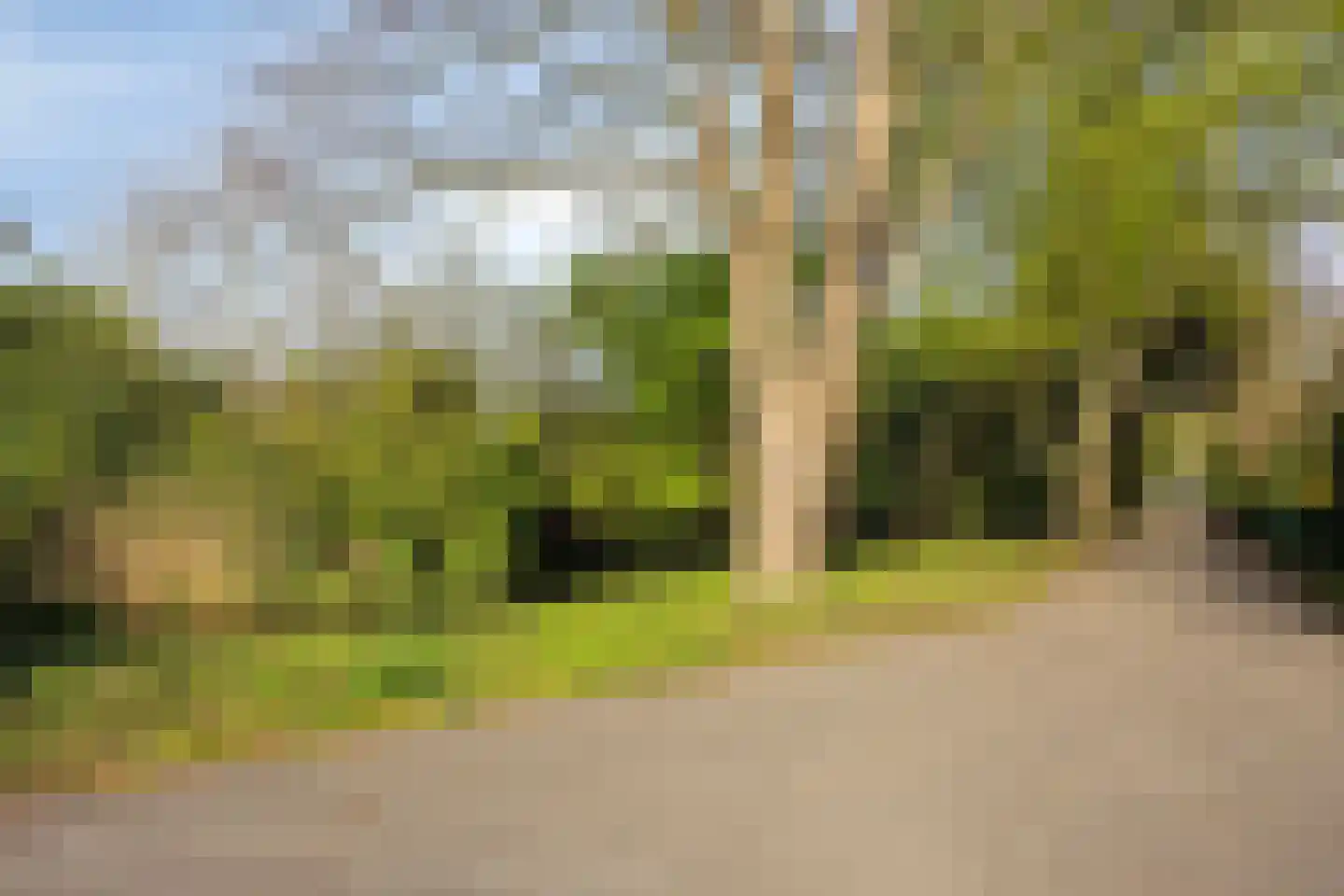 Korianderhof 283 Wierden thumbnail 74