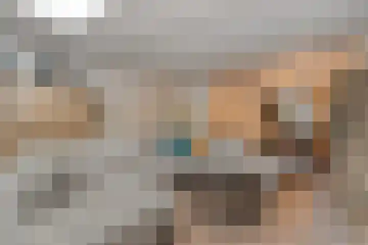 Korianderhof 297 Wierden thumbnail 11