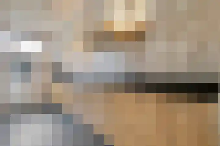 Korianderhof 297 Wierden thumbnail 14