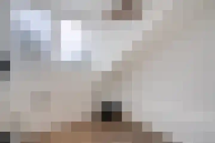 Korianderhof 297 Wierden thumbnail 27