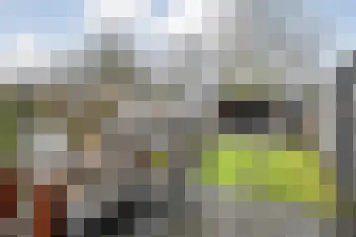 Korianderhof 297 Wierden thumbnail 28