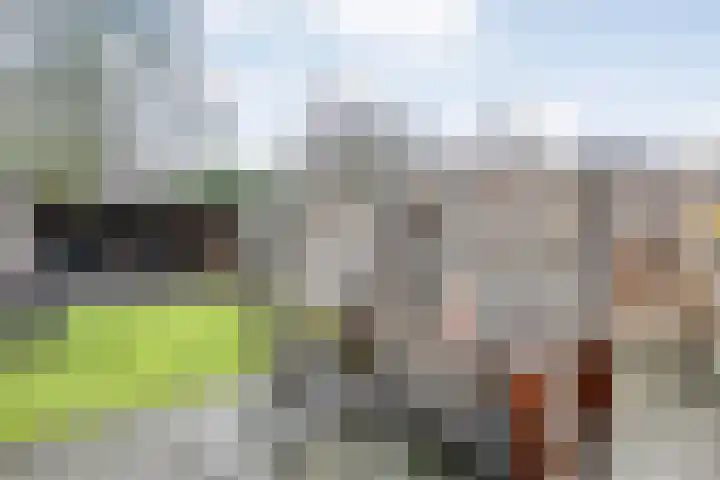 Korianderhof 297 Wierden thumbnail 29