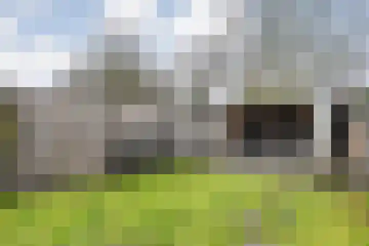 Korianderhof 297 Wierden thumbnail 30