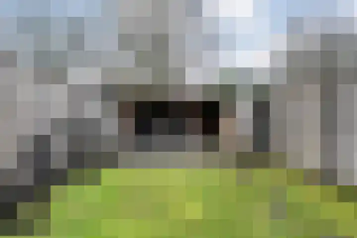 Korianderhof 297 Wierden thumbnail 31