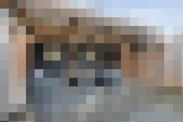 Korianderhof 297 Wierden thumbnail 32