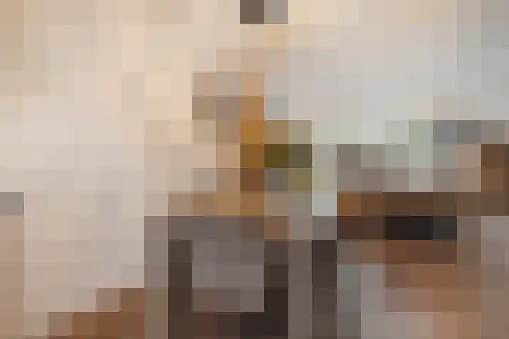 Korianderhof 297 Wierden thumbnail 7
