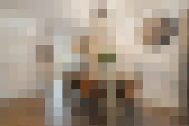 Korianderhof 297 Wierden thumbnail 8