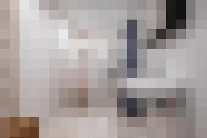 Korianderhof 37 Wierden thumbnail 23