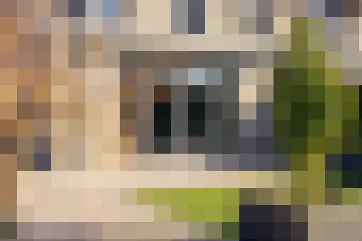 Korianderhof 37 Wierden thumbnail 29