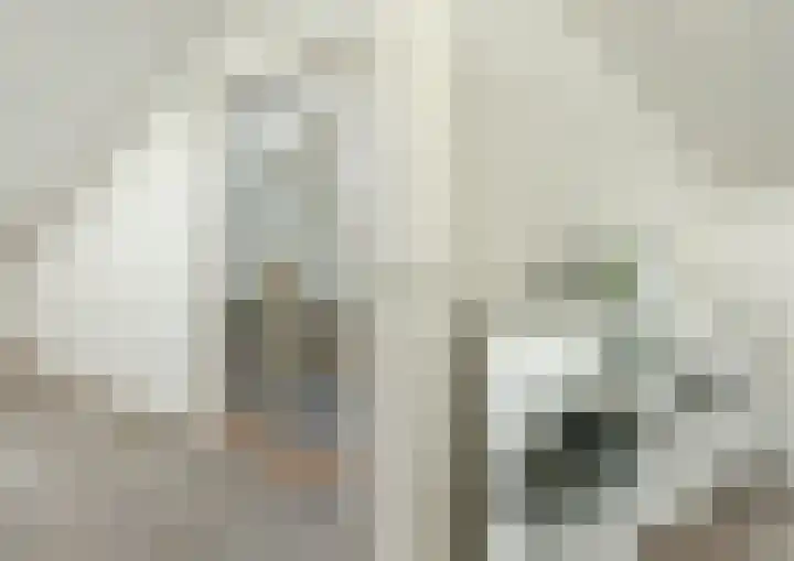 Korianderhof 37 Wierden thumbnail 33