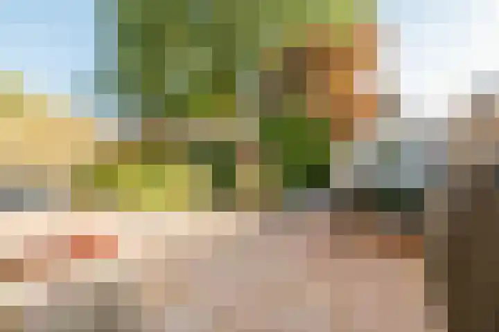 Korianderhof 37 Wierden thumbnail 34