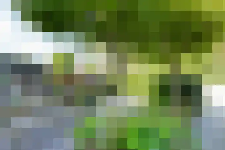 Korianderhof 37 Wierden thumbnail 35