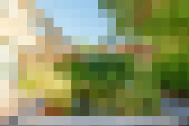 Korianderhof 37 Wierden thumbnail 35