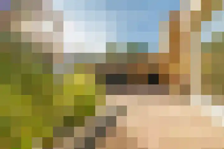 Korianderhof 37 Wierden thumbnail 4