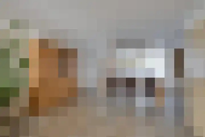 Korianderhof 37 Wierden thumbnail 9