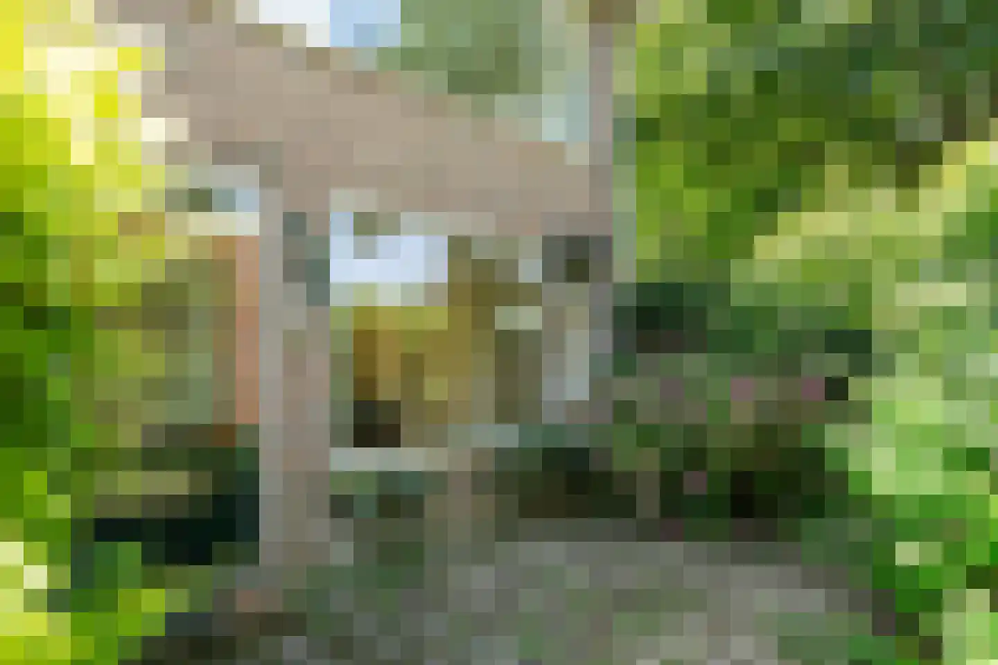 Korianderhof 39 Barendrecht thumbnail 25