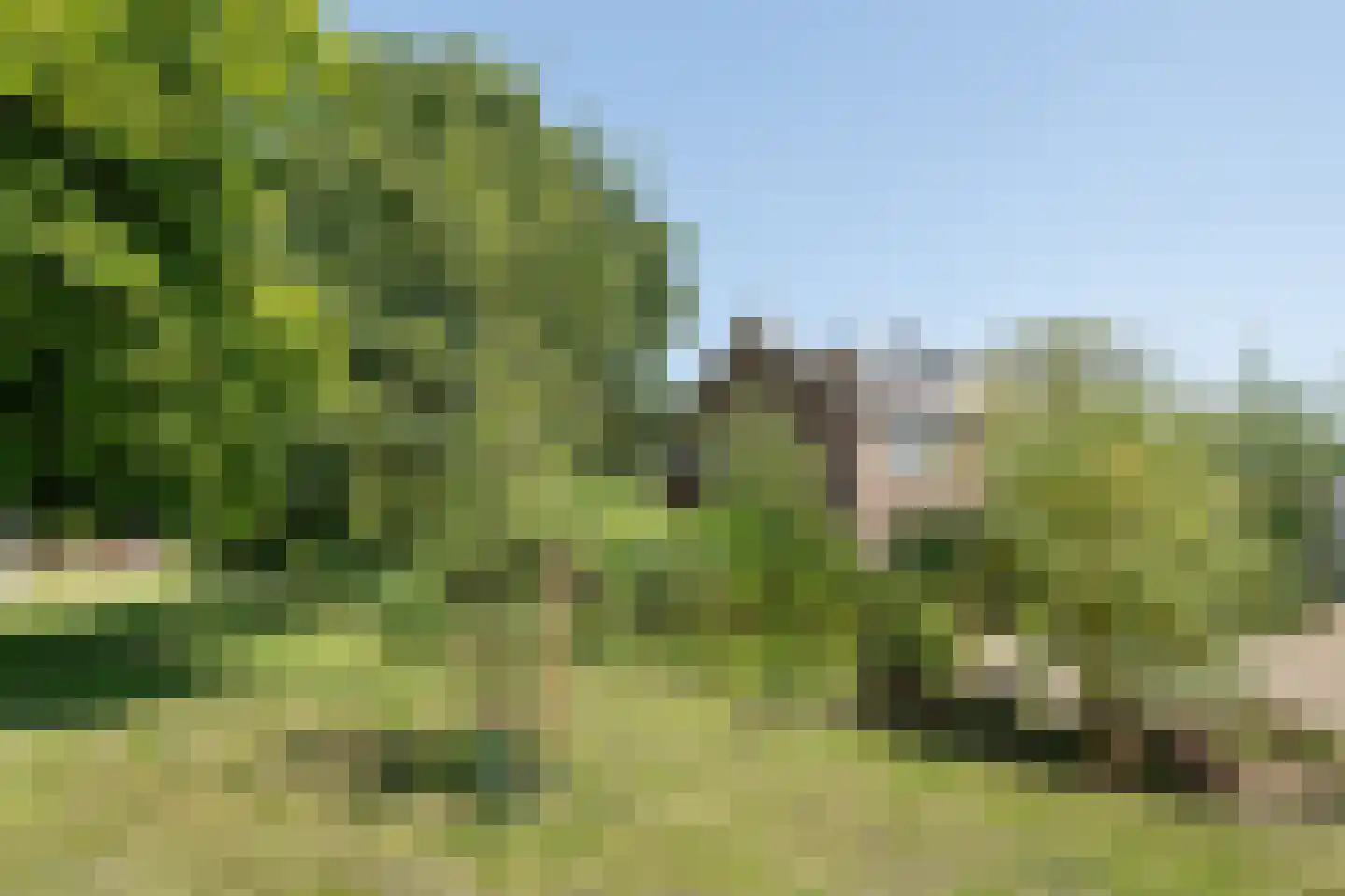 Korianderhof 39 Barendrecht thumbnail 28