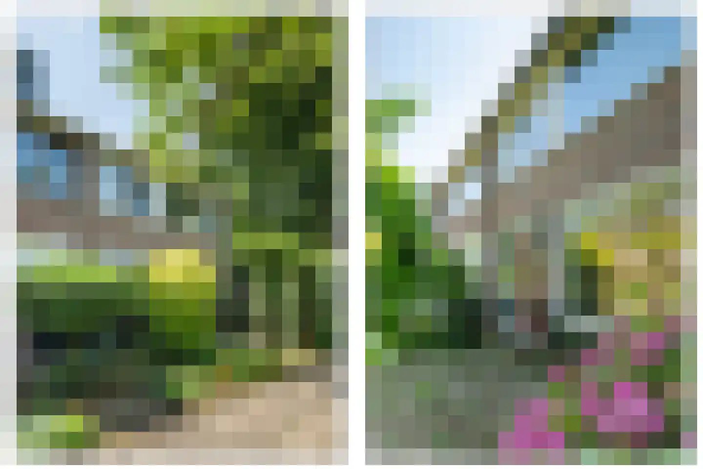 Korianderhof 39 Barendrecht thumbnail 4