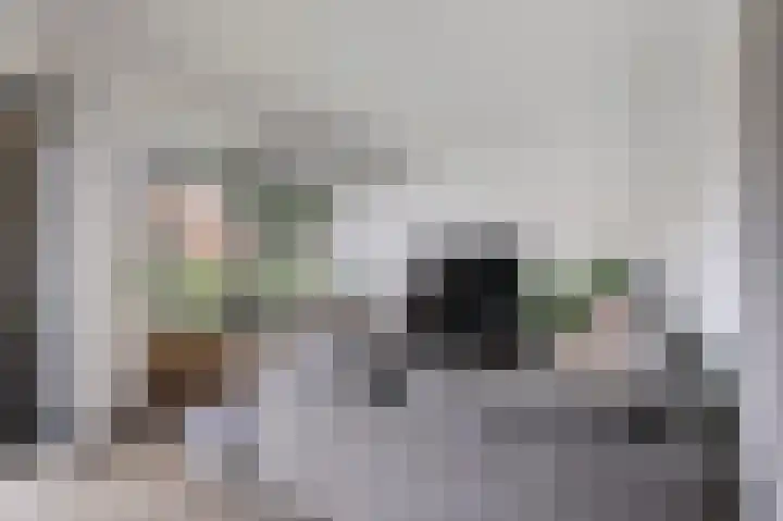 Korianderhof 46 Wierden thumbnail 16