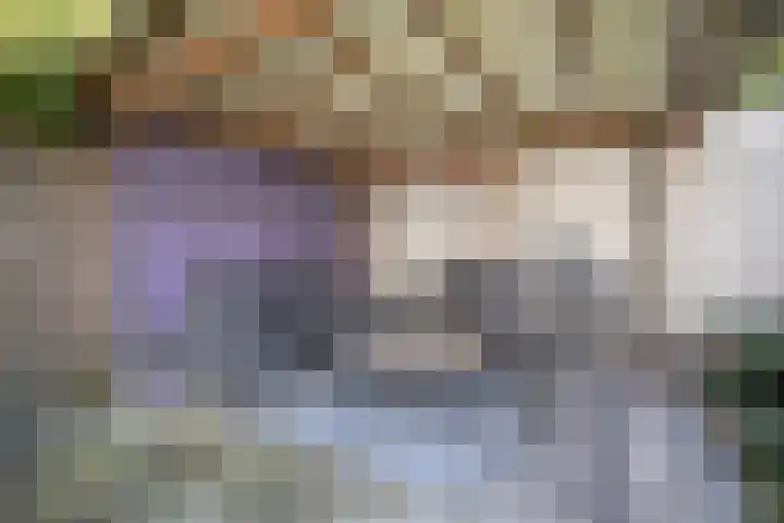 Korianderhof 46 Wierden thumbnail 32