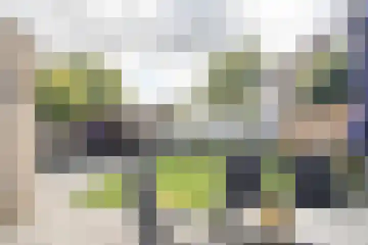 Korianderhof 46 Wierden thumbnail 34