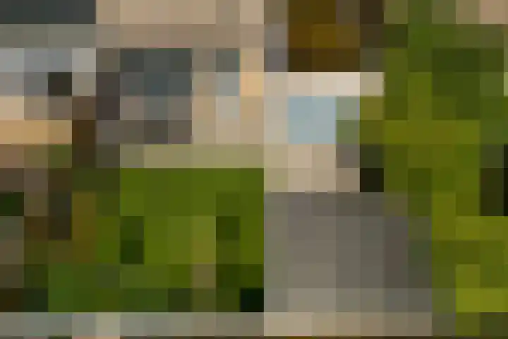 Korianderhof 46 Wierden thumbnail 4