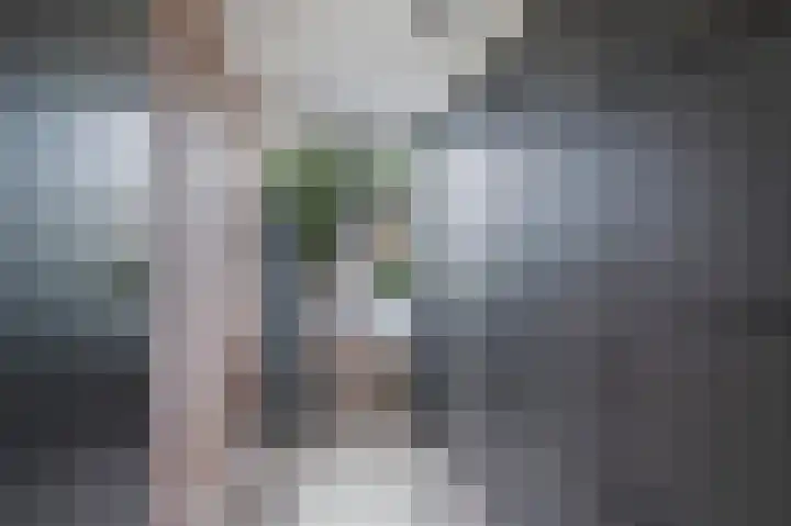 Korianderhof 46 Wierden thumbnail 44