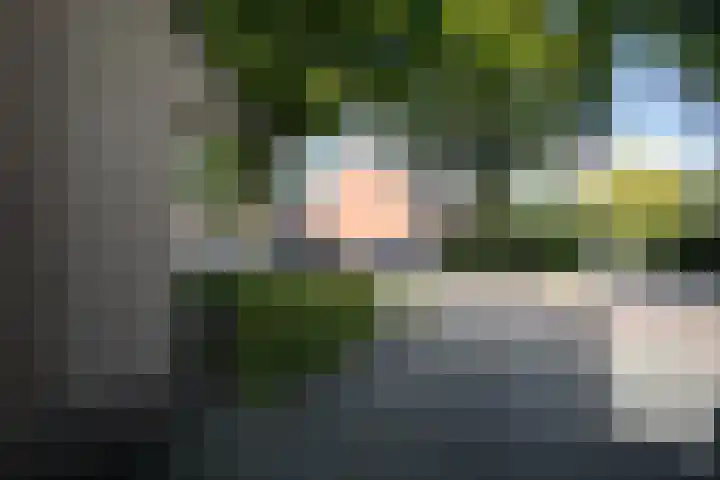Korianderhof 46 Wierden thumbnail 53