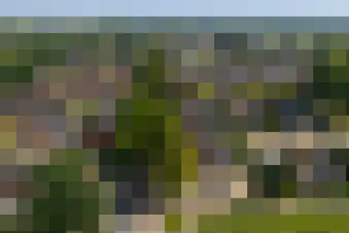 Korianderhof 46 Wierden thumbnail 56