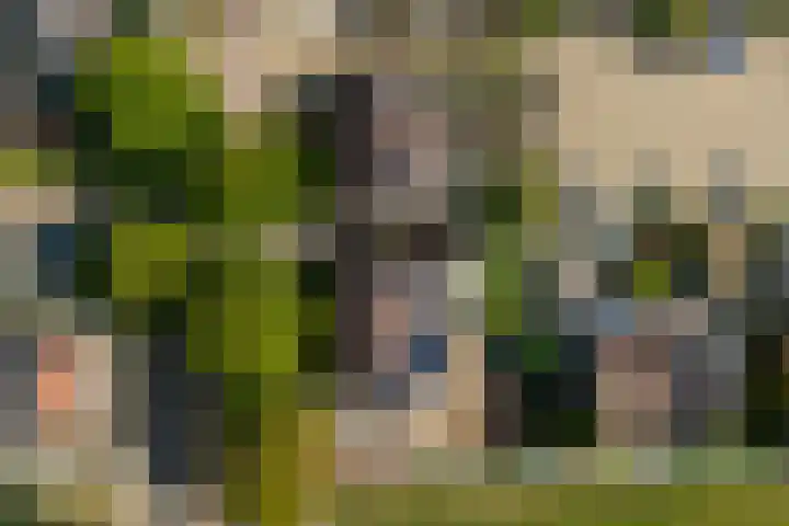 Korianderhof 46 Wierden thumbnail 57