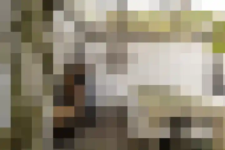 Korianderhof 46 Wierden thumbnail 58