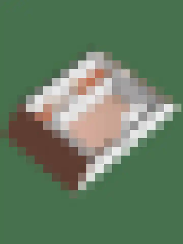 Korianderhof 46 Wierden thumbnail 63