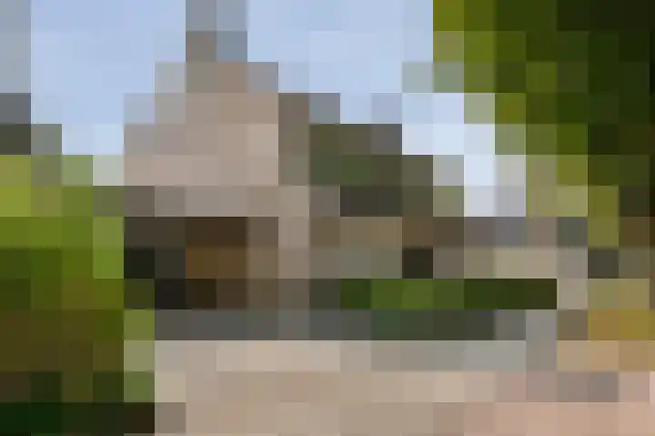 Korianderhof 46 Wierden thumbnail 7
