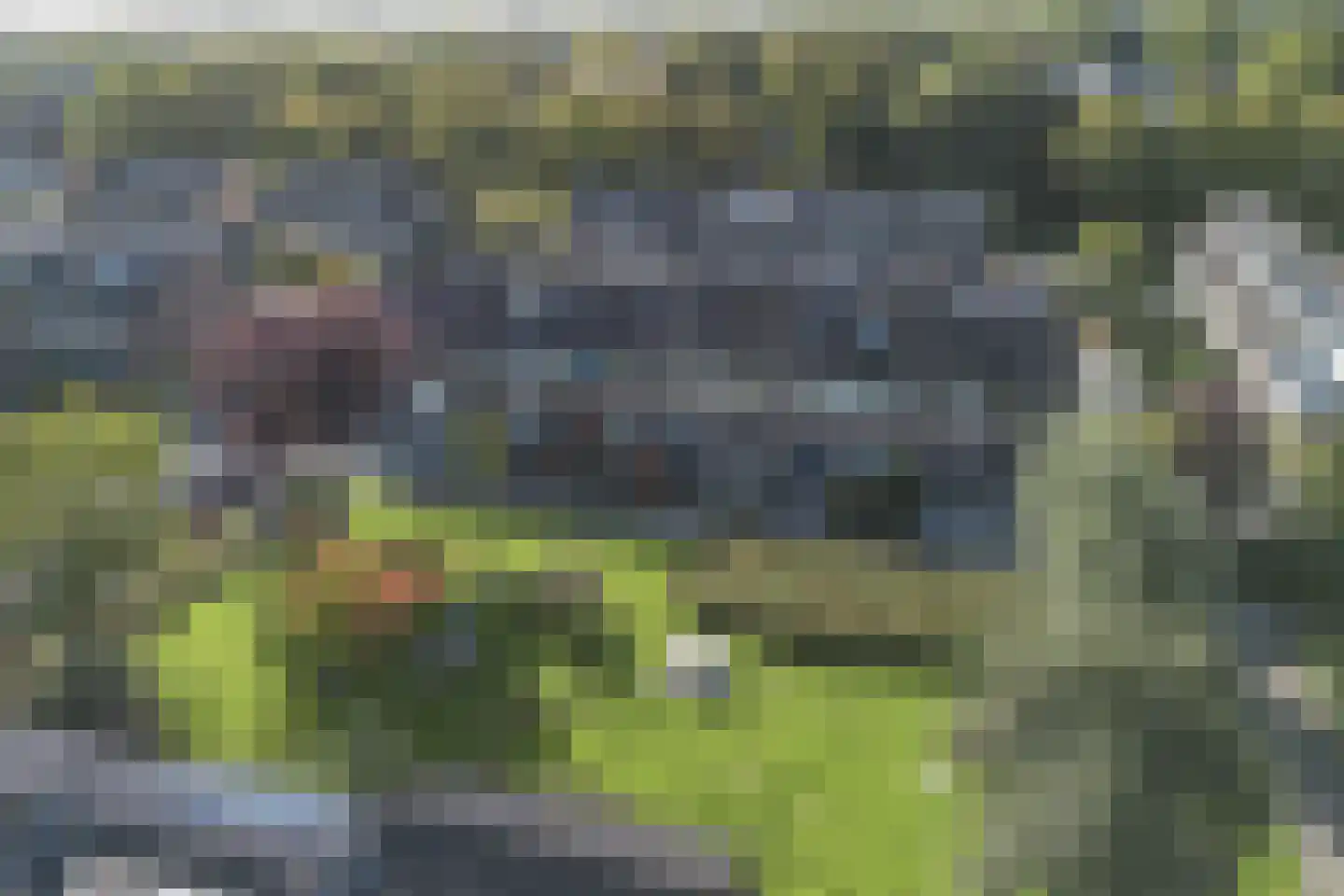 Korianderhof 5 Barendrecht thumbnail 31