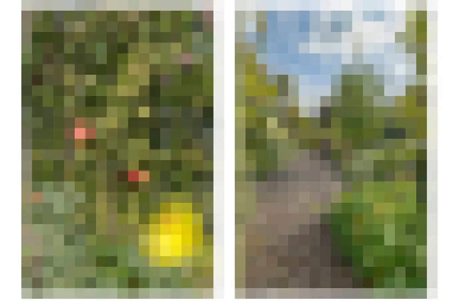 Korianderhof 5 Barendrecht thumbnail 33