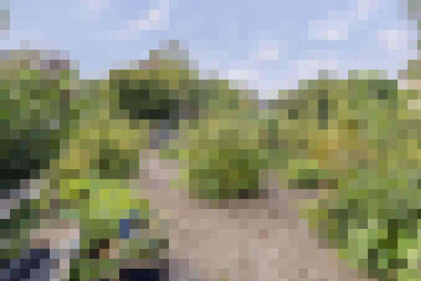 Korianderhof 5 Barendrecht thumbnail 34
