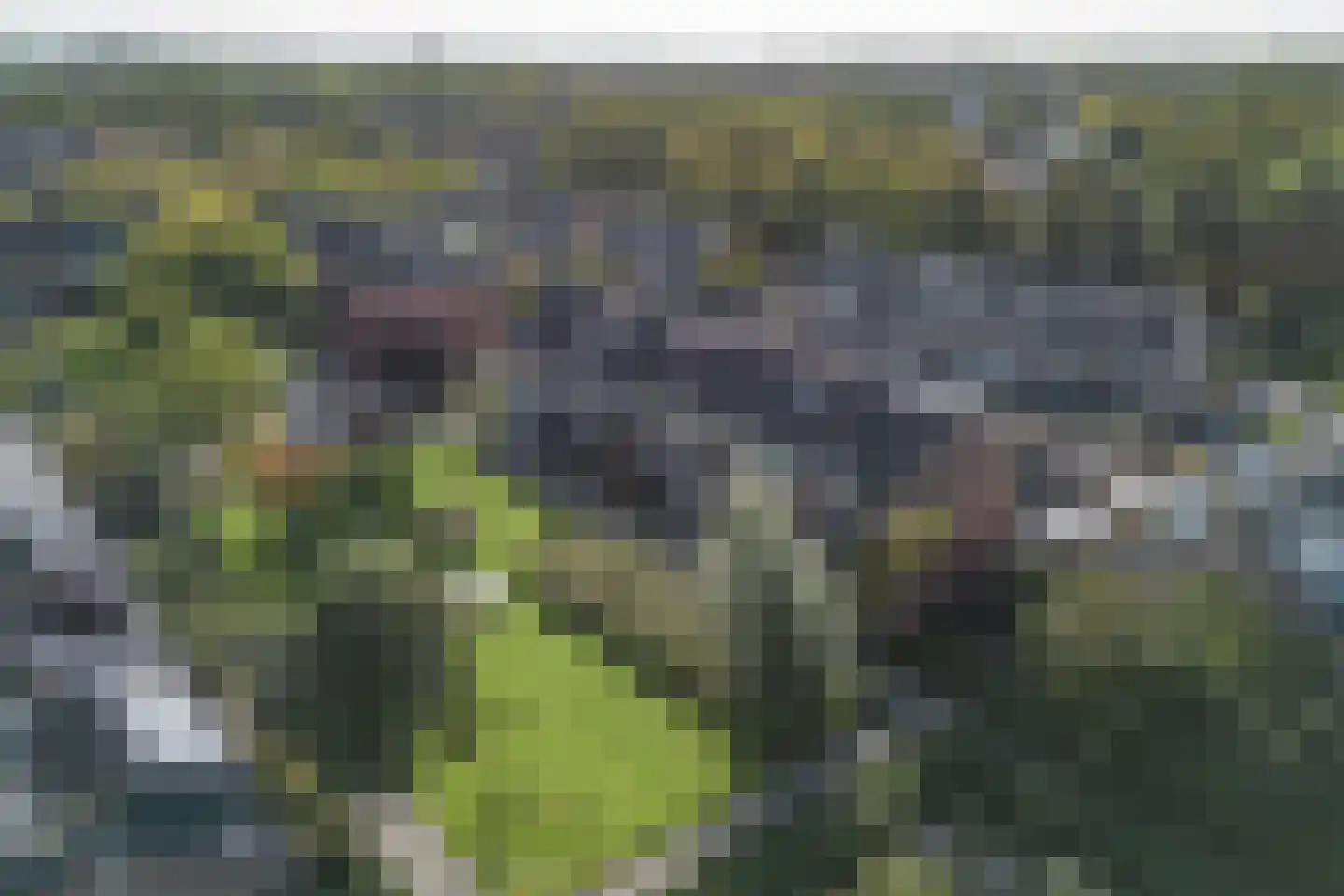 Korianderhof 5 Barendrecht thumbnail 35