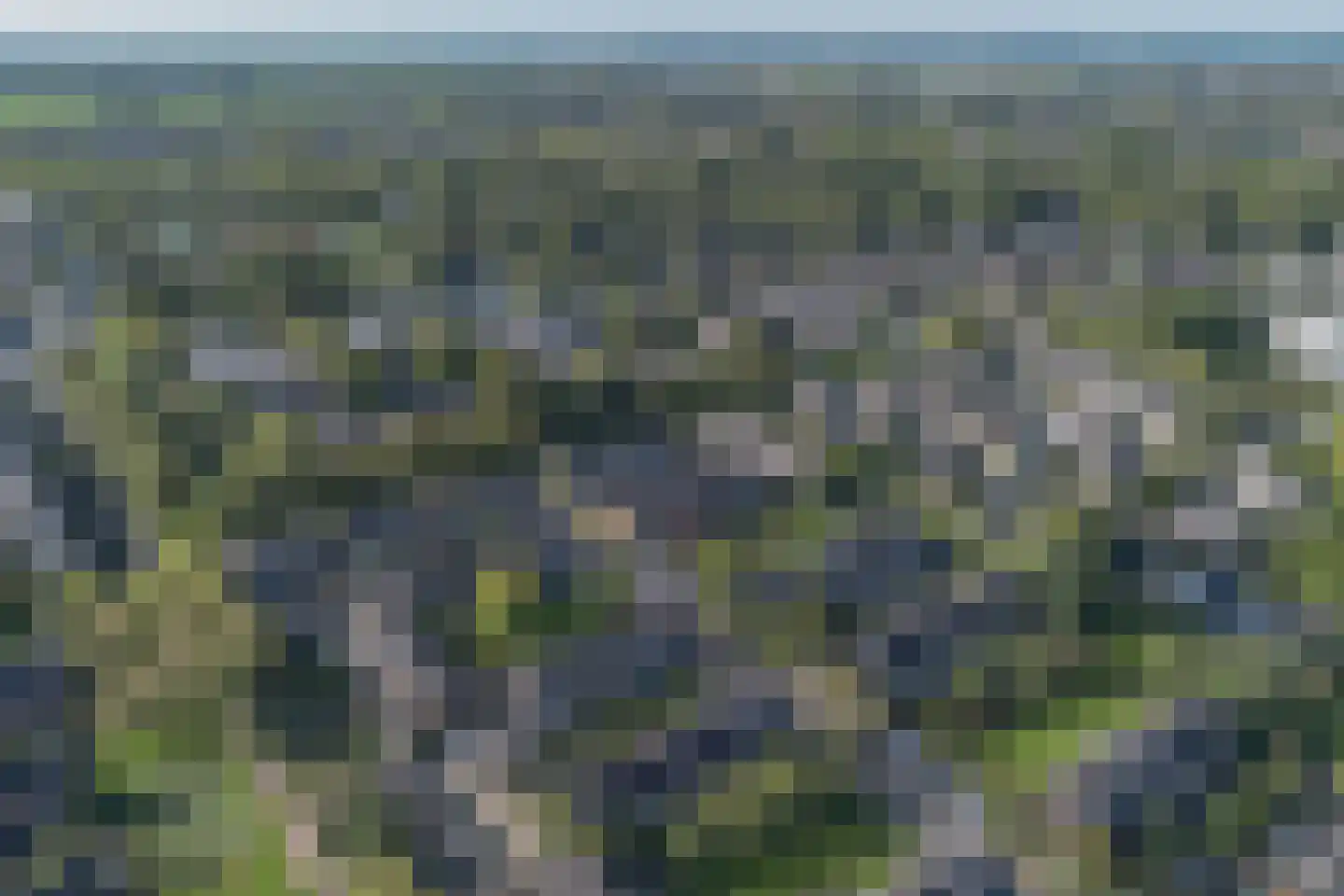 Korianderhof 5 Barendrecht thumbnail 37