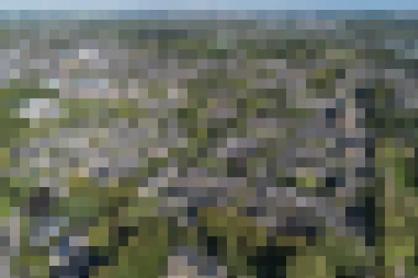 Korianderhof 5 Barendrecht thumbnail 38