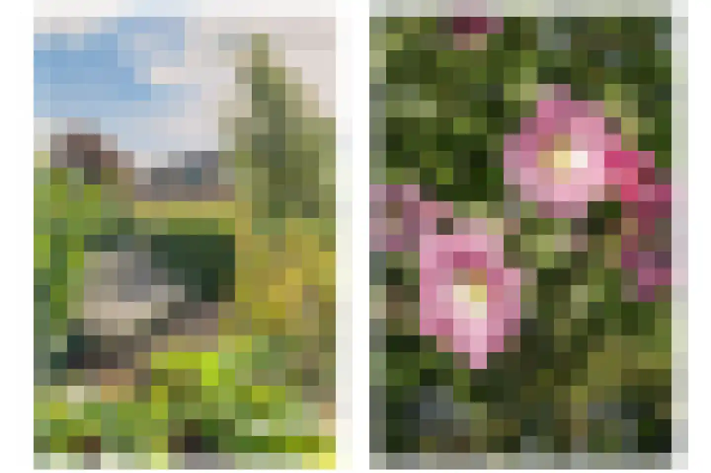 Korianderhof 5 Barendrecht thumbnail 6