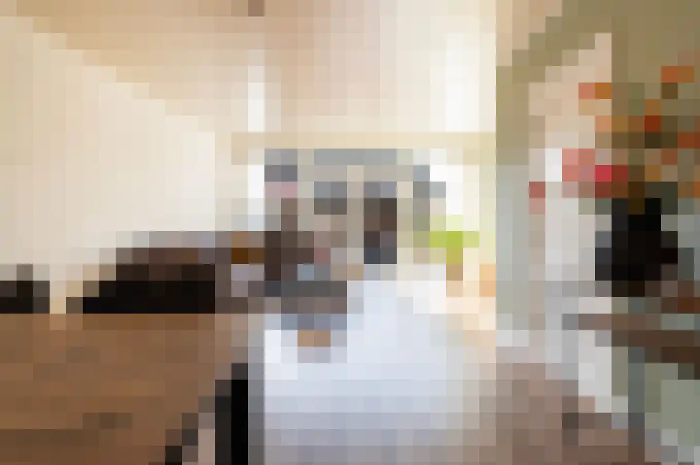 Korianderhof 5 Wierden thumbnail 15