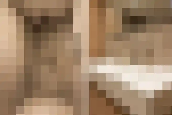 Korianderhof 5 Wierden thumbnail 28
