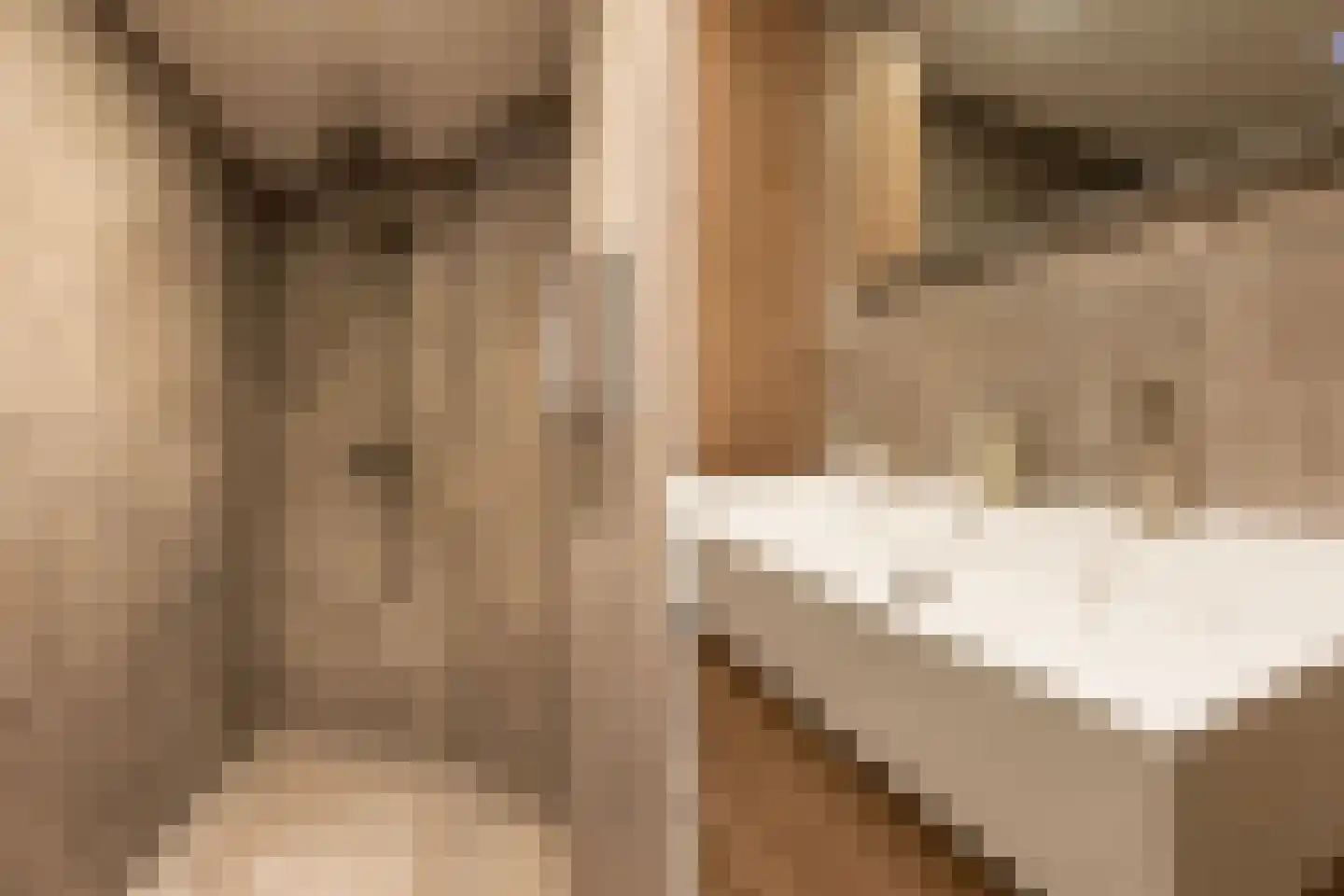 Korianderhof 5 Wierden thumbnail 29