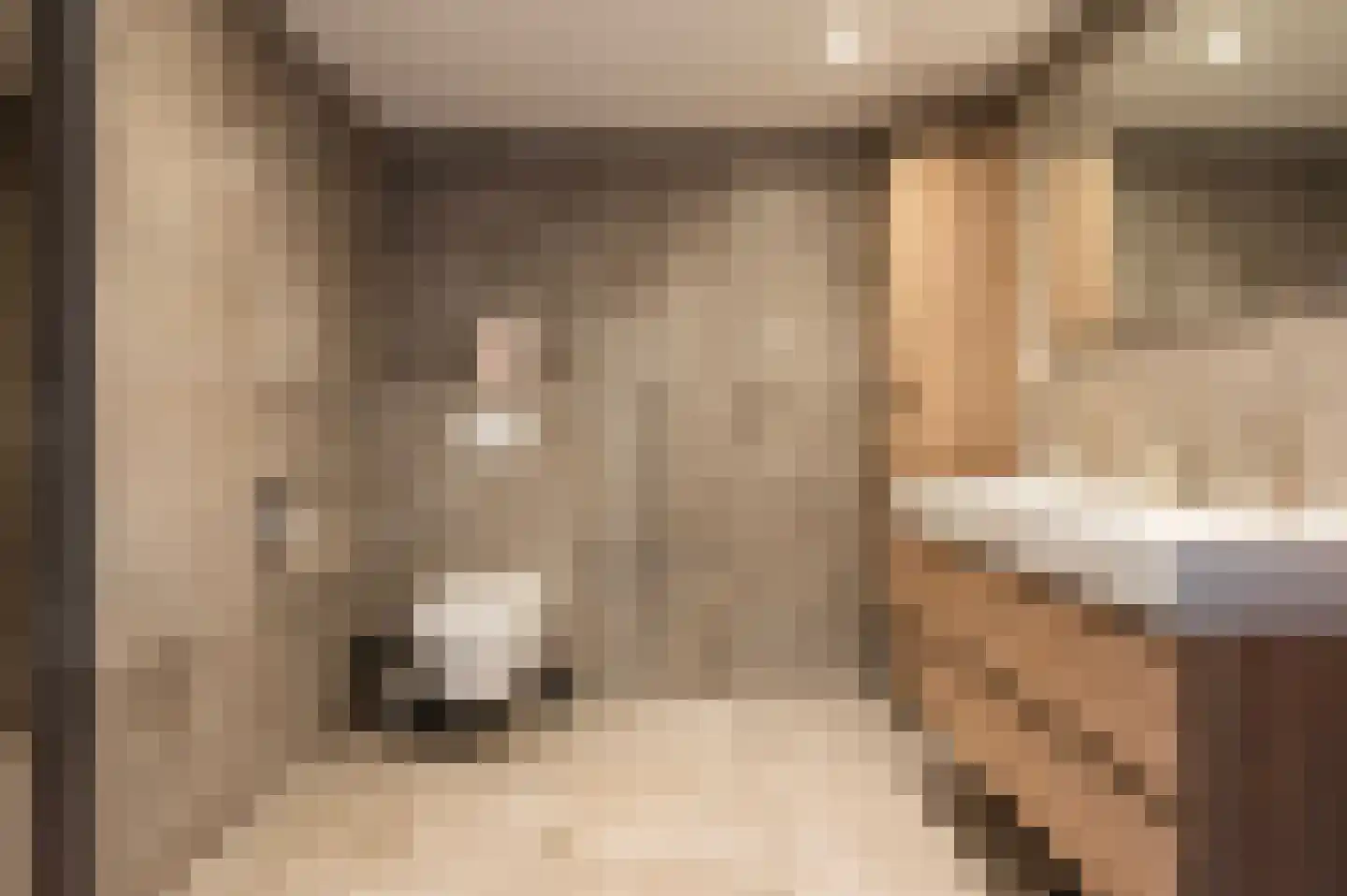 Korianderhof 5 Wierden thumbnail 4